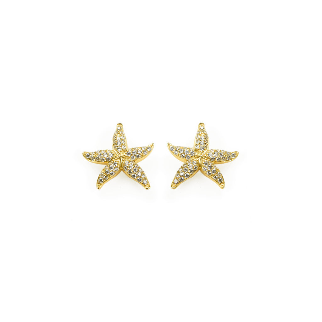 EARRINGS IN SILVER WITH ZIRCONS