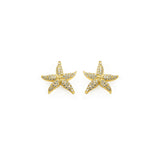 EARRINGS IN SILVER WITH ZIRCONS