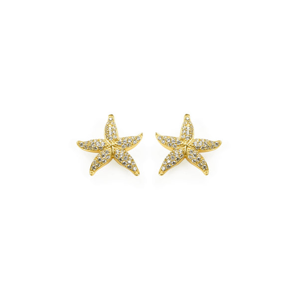 EARRINGS IN SILVER WITH ZIRCONS