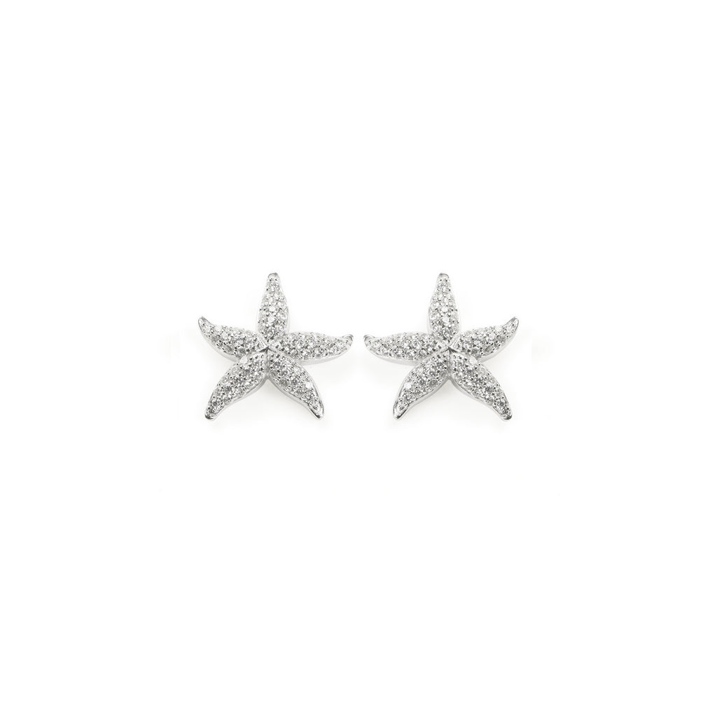EARRINGS IN SILVER WITH ZIRCONS