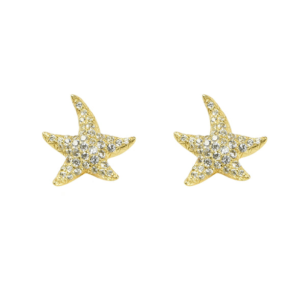 EARRINGS IN SILVER WITH ZIRCONS