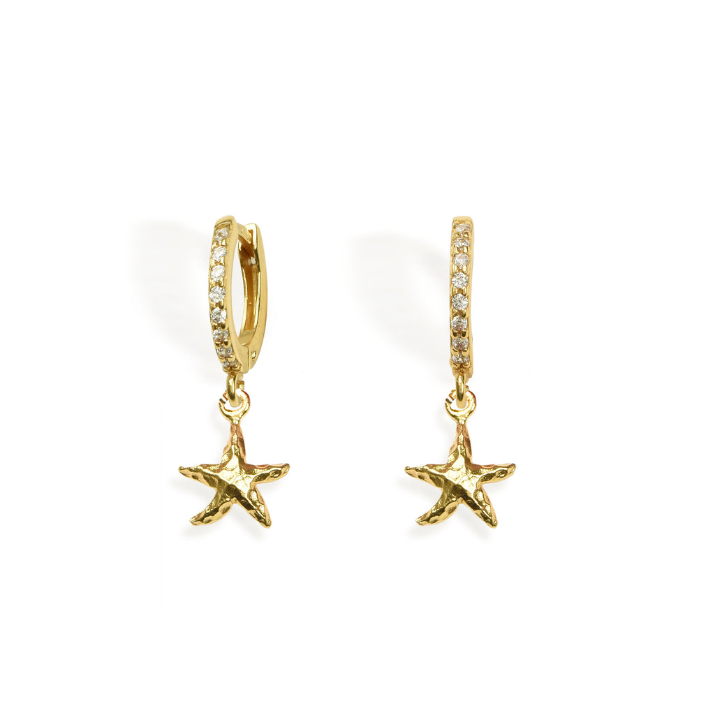 EARRINGS IN SILVER WITH ZIRCONS