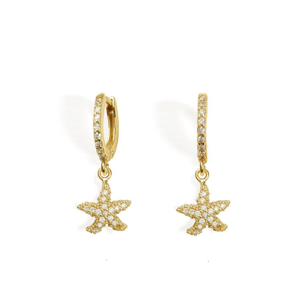 EARRINGS IN SILVER WITH ZIRCONS